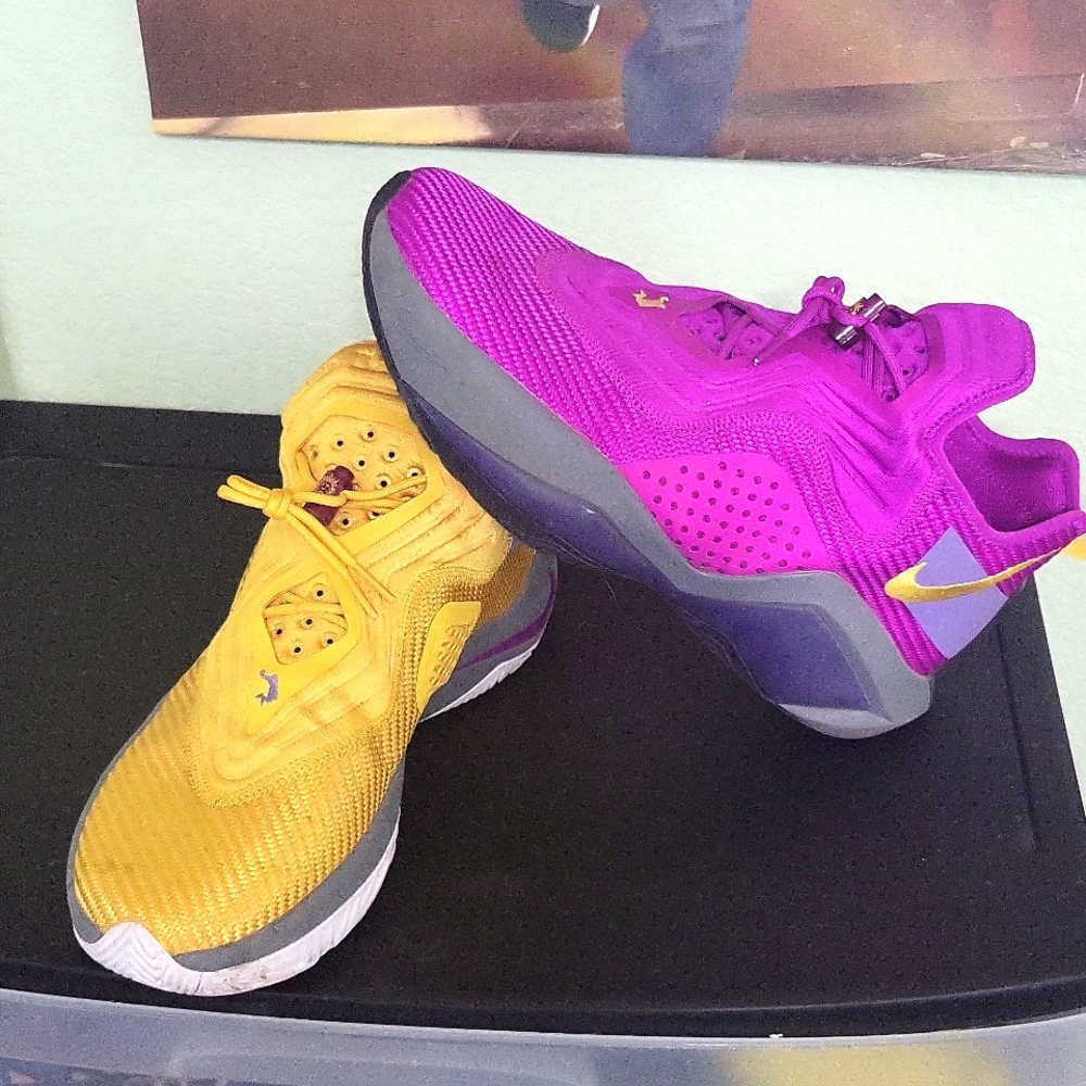 Lebron Soldier XIV